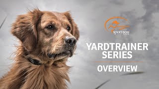 SportDOG Brand® YardTrainer ECollars [upl. by Gnilsia]