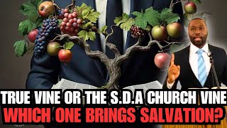 The True Vine or SDA Church Vine Which One Brings Salvation [upl. by Lavinia]