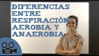 Diferencias entre respiración aerobia y anaerobia [upl. by Anisamot]