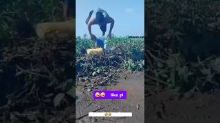 Teri surat dil ne  comedy video 🤣🤣  hindi  fanny reels  shorts funny trending viral [upl. by Nahamas]