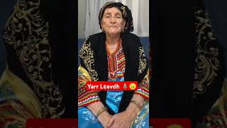 Yarr Lεevdh 🧍🏻‍♂️😠 kabyle kabylie kabylegirl tiziouzou bejaia kabyledefrance kabylienne [upl. by Dew]