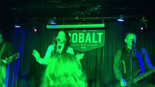 The March Violets performing Grooving In Green in Vancouver on 11092024 gothrock postpunk [upl. by Bail47]