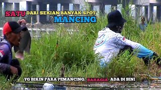 VIRAL LAGI⁉️ Spot Mancing Di Jawa Tengah Banyak Dihuni Ikan Ikan Purba [upl. by Collen581]