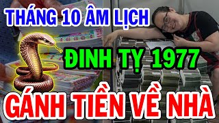 Tử vi THÁNG 10 ÂM LỊCH Đinh tỵ 1977 TRỜI THƯƠNG PHẬT ĐỘ may mắn liên tiếp 3 ngày CÓ LỘC LỚN [upl. by Lana371]