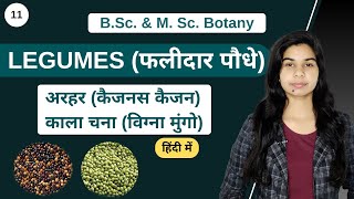 Economic Botany  LEGUMES  फलीदार पौधे  Botany [upl. by Henryson]