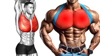 6 Effective Exercises to Build a Huge Chest [upl. by Eidoc]