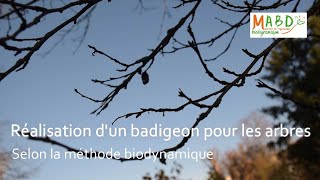 Réalisation dun badigeon pour le soin des arbres selon la méthode biodynamique [upl. by Mcgill]