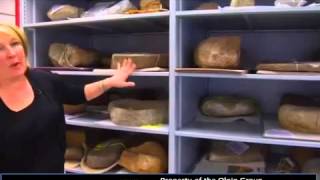 San Diego Archeological Museums storage solution  Olpin Group [upl. by Iretak697]