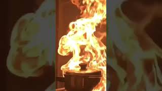 Cooking No 2😎 funnyshorts funnyvideos [upl. by Earesed]