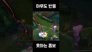 미드에코 아무도 반응 못하는 1초 콤보 [upl. by Ahselef570]