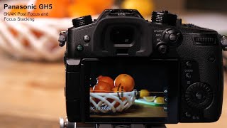 Lumix Academy GH5  How to use Post Focus amp Focus Stacking [upl. by Ahsiniuq]