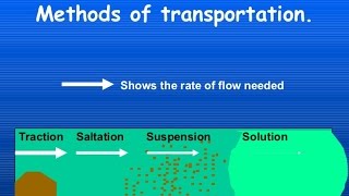 Transport of Sediment in Rivers and Sea  Diagram and explanation [upl. by Enelkcaj107]