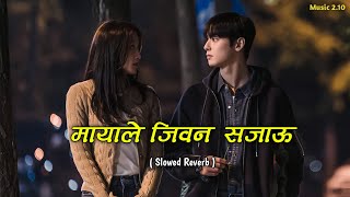 Mayale Jiwan Sajau SlowedReverb  Nepali Song  Music 210 [upl. by Seiuqram512]