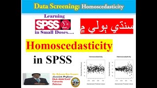 Checking Homoscedasticity of Data in SPSS سنڌي ٻولي ۾ [upl. by Danna588]