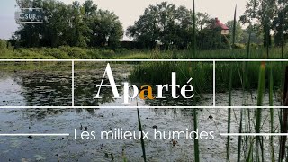 APARTÉ  LES MILIEUX HUMIDES [upl. by Vowel]