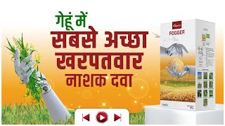 गेहूं में खरपतवरों का जड़ से सफाया 🔥 AgroStar Fogger 🔥 Best Herbicide [upl. by Aleibarg]