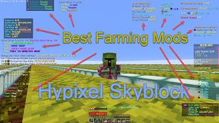 Best Farming Mods for Hypixel Skyblock [upl. by Caundra515]