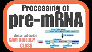 PROCESSING OF PREM RNA amp POST TRANSCRIPTIONAL MODIFICATION SAM BIOLOGY 🧫 CLASS [upl. by Rosemare691]