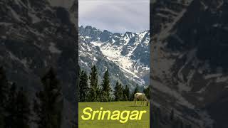 Srinagar top 5 places to visit Srinagar Dal lakesrinagar ghumne wali jagah [upl. by Samohtnhoj]