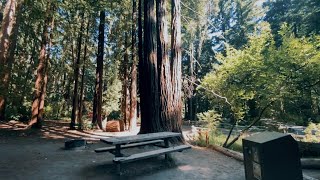 Camping and Exploring Memorial Park Azalea Flat Campground [upl. by Merralee]