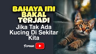 BAHAYA INI BAKAL TERJADI JIKA TAK ADA KUCING DI SEKITAR KITA [upl. by Anwad]