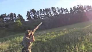 Webley and Scott 2020K SXS 20G Shotgun vs SKB OU 12G Shotgun [upl. by Nail488]