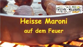 Nature Flow  Heisse Maroni auf dem Feuer selber machen [upl. by Goldshlag]