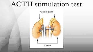 ACTH stimulation test [upl. by Redford]