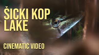 ŠIĆKI KOP LAKE  CINEMATIC VIDEO [upl. by Yarased]