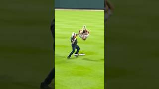 Craziest Fan Invasion Moments in MLB [upl. by Fasa]