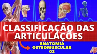 CLASSIFICAÇÃO DAS ARTICULAÇÕES ANATOMIA HUMANA  TIPOS DE ARTICULAÇÕES [upl. by Ori]