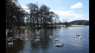 Places to see in  Castle Douglas  UK [upl. by Hatti26]