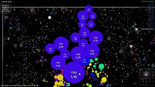 AGARIO 200 BOTS  RISU BOTS [upl. by Anileuqcaj]