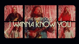 The Sheepdogs  I Wanna Know You Official Music Video [upl. by Esenwahs]