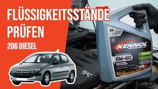 Die Flüssigkeitsstände prüfen Peugeot 206 14 HDi 📏 [upl. by Annawahs]