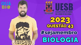 UESB 2023  Questão 43  A evolução dos animais é marcada pelo expressivo aumento da complexidade [upl. by Aw]