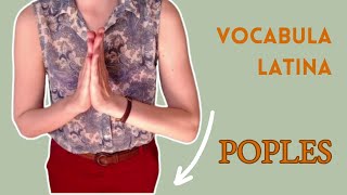 Latine loqui  Latin vocabulary POPLES [upl. by Artsa]