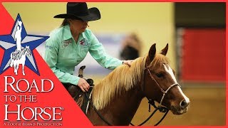 Road to the Horse 2017  Extra Footage  Sarah Dawson Clinic [upl. by Duston]