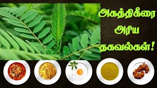 💥அகத்திகீரை அரிய தகவல்கள்  benefits  tamil  spinach [upl. by Aryc]