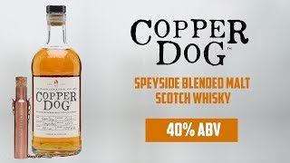 Copper Dog Speyside Blended Malt Scotch Whisky A mans best friend  The Whiskey Dictionary [upl. by Wettam121]