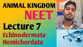 ANIMAL KINGDOM LECTURE 7 Echinodermata and Hemichordata Ncert 11 in easy way [upl. by Nylimaj699]