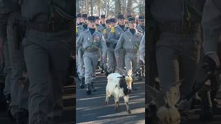 partie 1 présentation dune compagnie de combat🇨🇵 militaire armeedeterre armeefrancaise armées [upl. by Hairacaz]