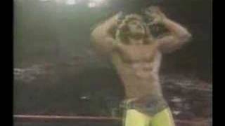 Ravishing Rick Rude [upl. by Mellette]