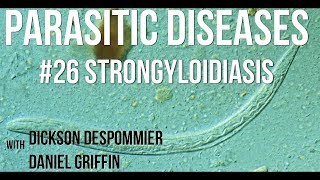 Parasitic Diseases Lectures 26 Strongyloidiasis [upl. by Fennie]