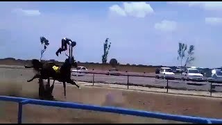 ACIDENTE INCRÍVEL CAVALO QUEBRA AS 2 PATAS DIANTEIRA EM CORRIDA [upl. by Zitah871]