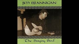 Jim Brannigan  The Rambles of Spring Tommy Makem cover [upl. by Anitnahs]