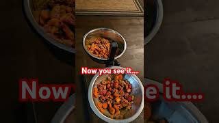 Food gone mom want more likeandsubscribe dog like dogsofyoutube youtubeshorts viralvideo [upl. by Hazlip]