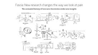 Fascia What is fascia New research changes the way we look at pain [upl. by Korb]