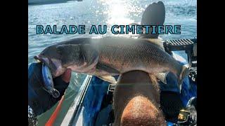 balade au cimetière en famille [upl. by Pressman]