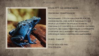 LES DENDROBATES  Des espèces stupéfiantes [upl. by Eichman]